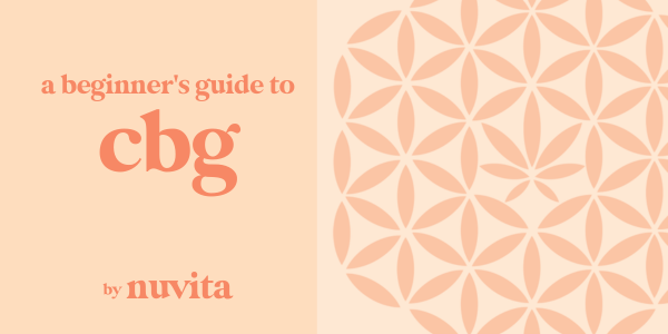 A Beginner's Guide to CBG