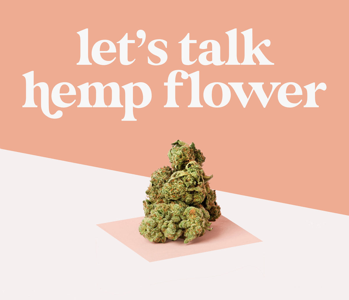 Beginners Guide to CBD Flower