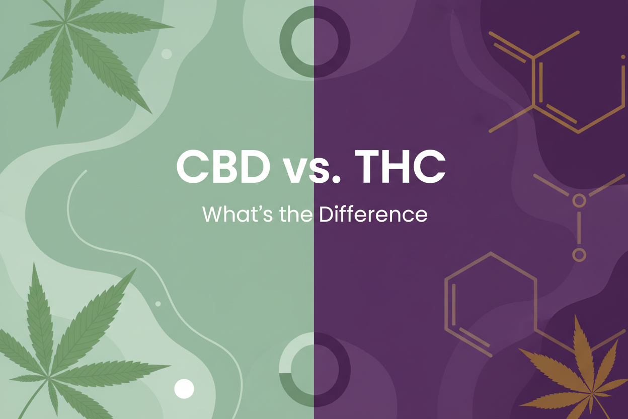 CBD vs. THC: What's the difference