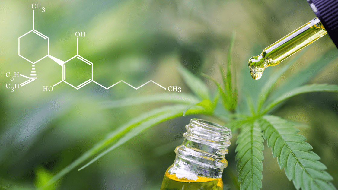 Image of a CBD tincture dripping oil out of a dropper with the chemical symbol for CBD over a background of a hemp leaf