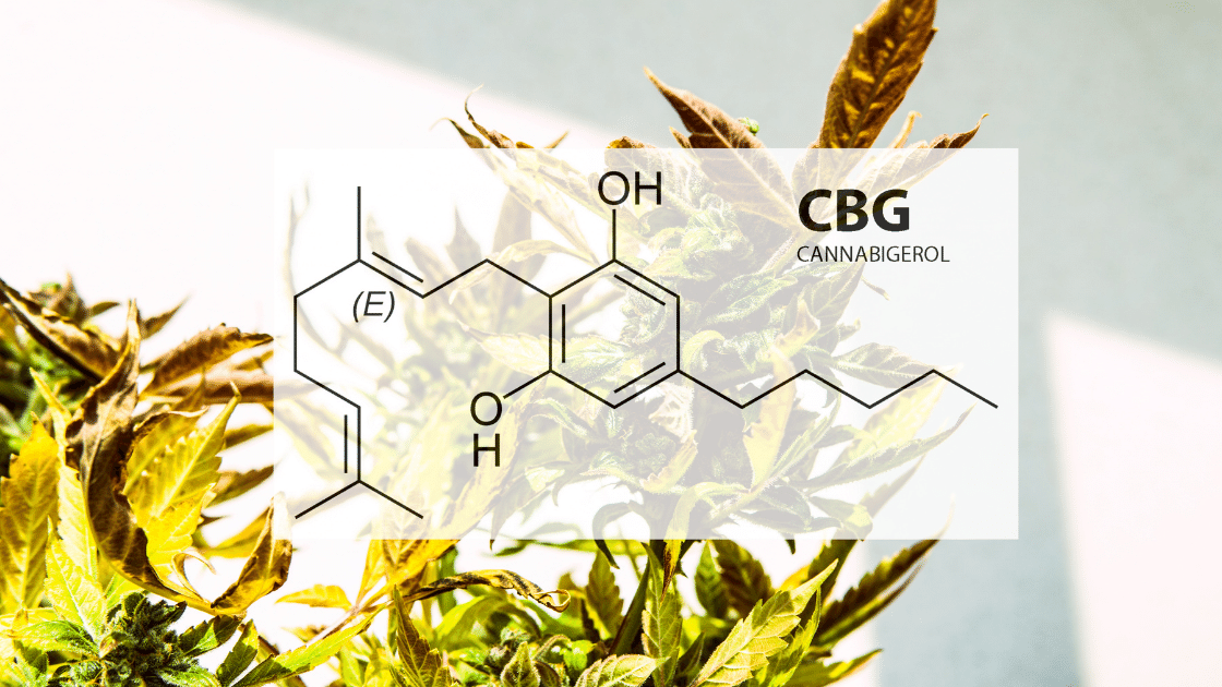 cbg molecule image