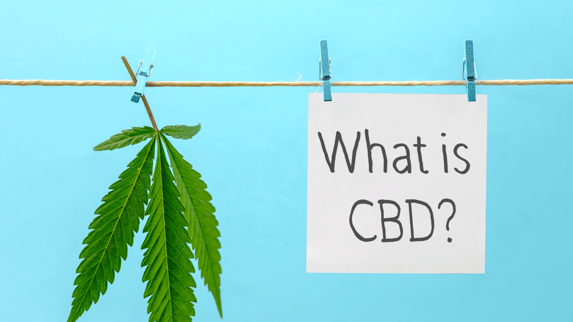 Hemp Leaf hanging on a clothes line next to a sign that says What is CBD